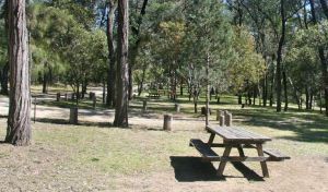 Lemon Tree Flat campground - Hervey Bay Accommodation